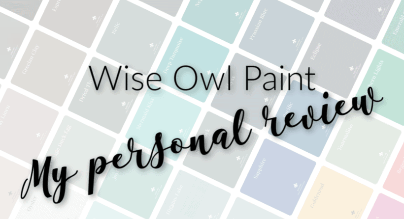 Wise Owl Paint Review