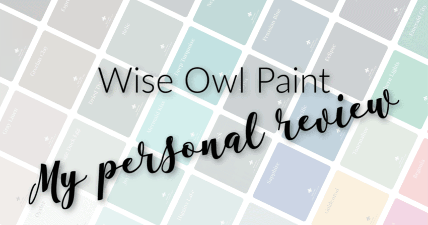 Wise Owl Paint Review
