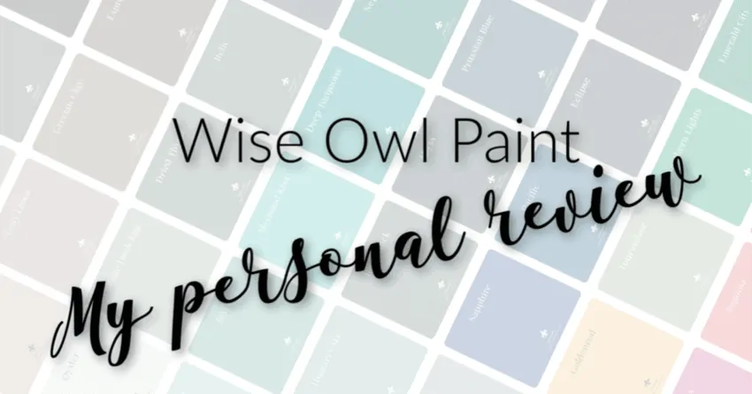 Wise Owl Paint Review