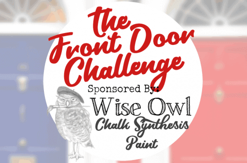 Front Door Challenge Wise Owl Paint