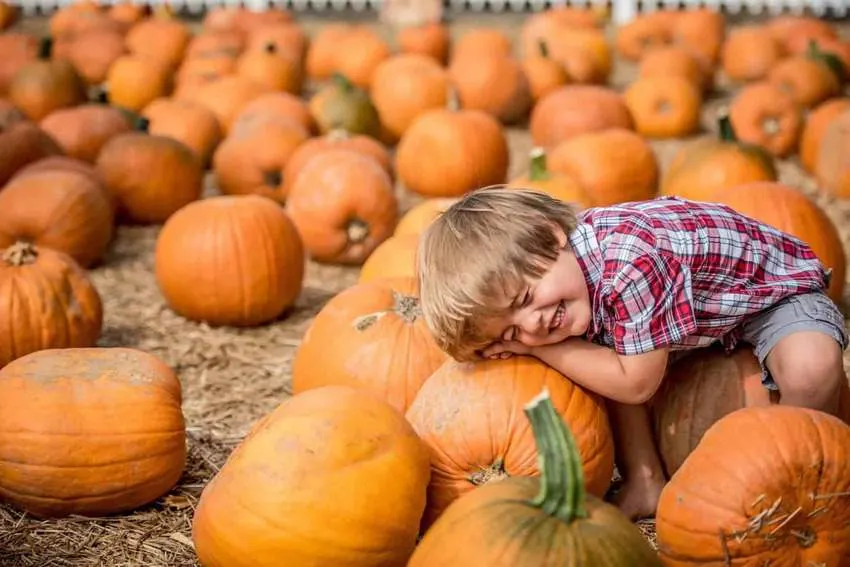 Boone Hall Plantation-top things to do in South Carolina in the fall