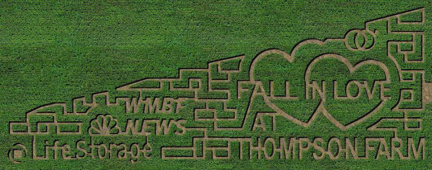 Thompsons Farm Corn Maze- top things to do in south Carolina in the fall