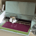 Cricut_air_2_