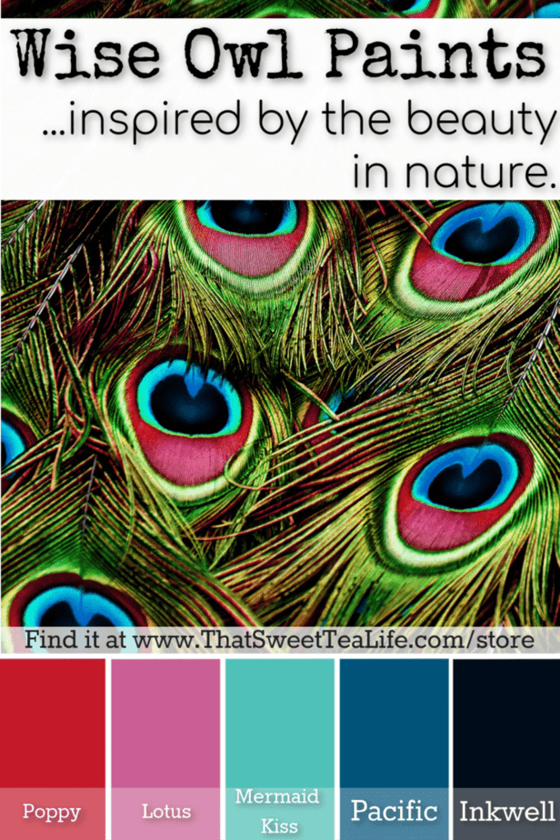 Wise Owl Paint