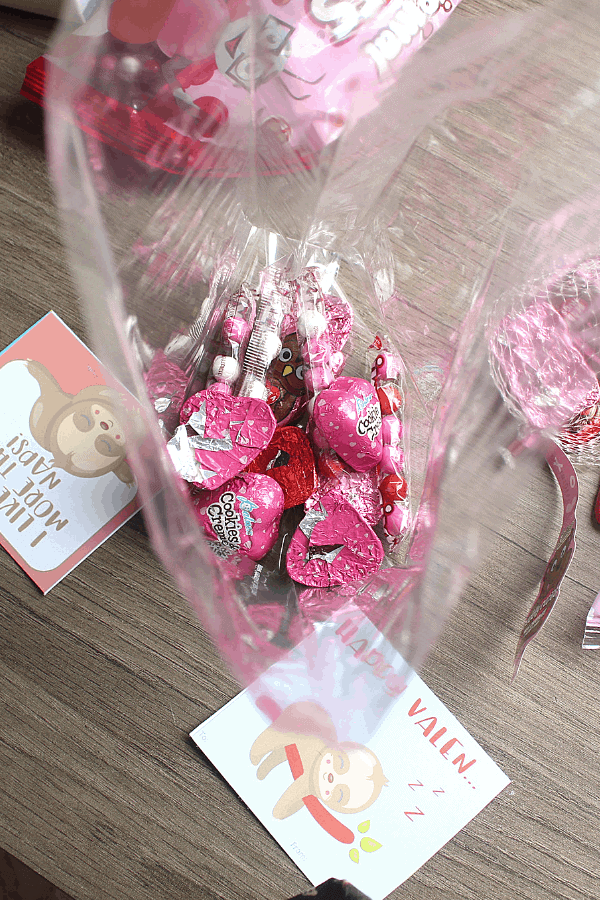 candy in goodie bags 