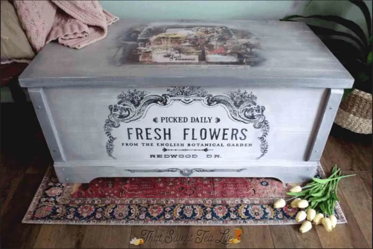 Embellish painted furniture. white stenciled trunk