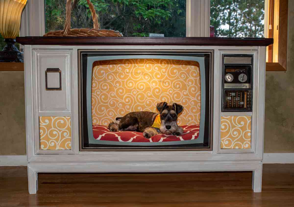 Repurposed furniture. Antique TV made into a dog's bed