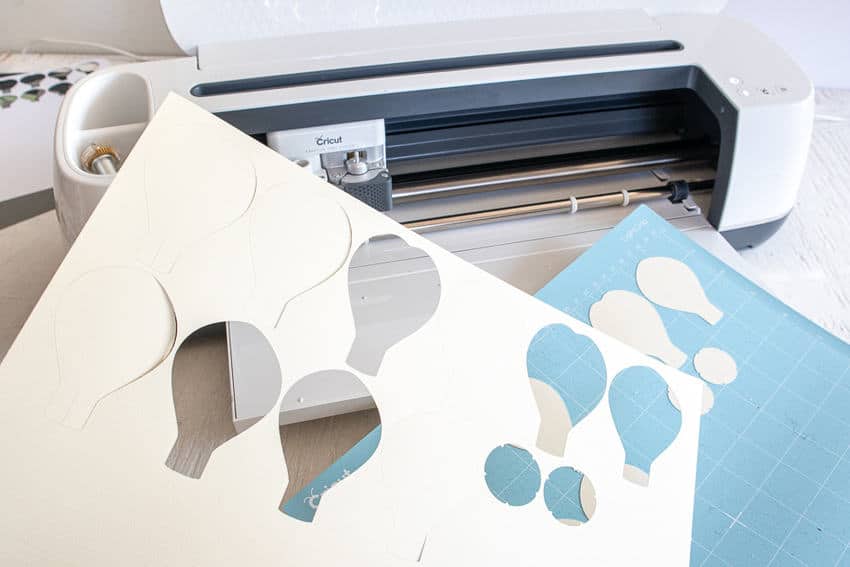 cut Paper Anenome 