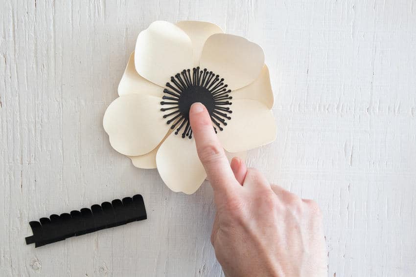 paper anemone flowers assembled