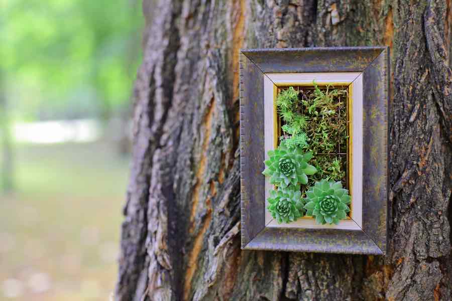 Faux Wall Planter