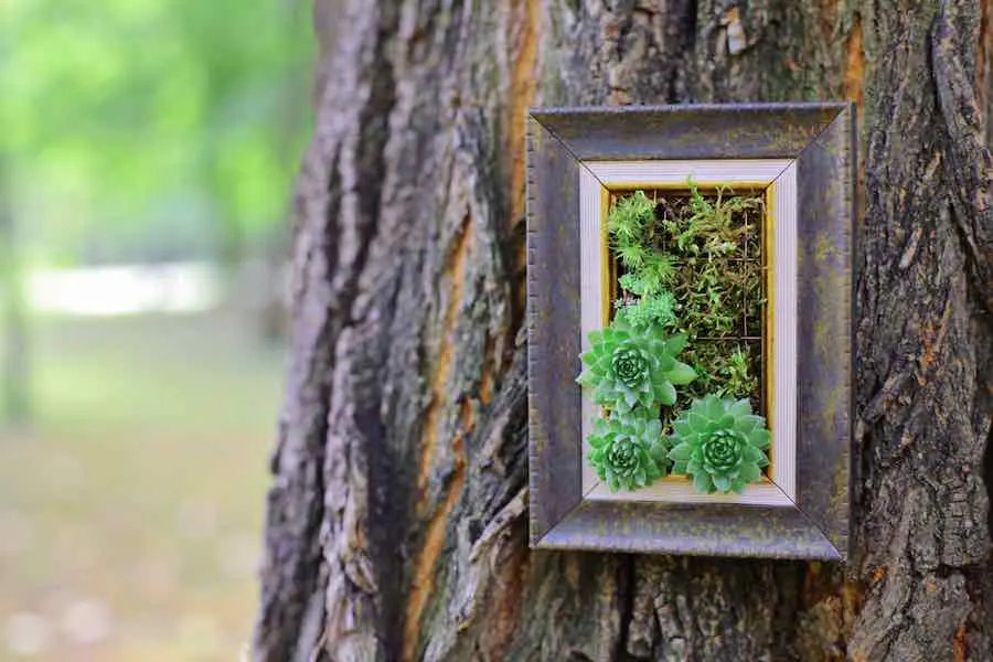 Faux Wall Planter