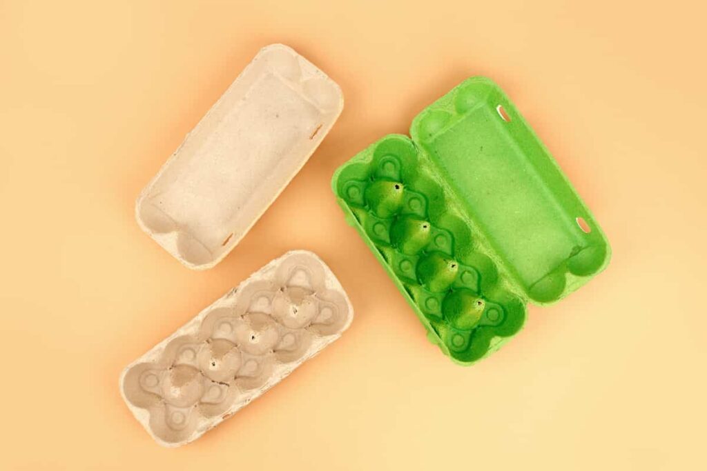 Egg Carton Halloween Crafts
