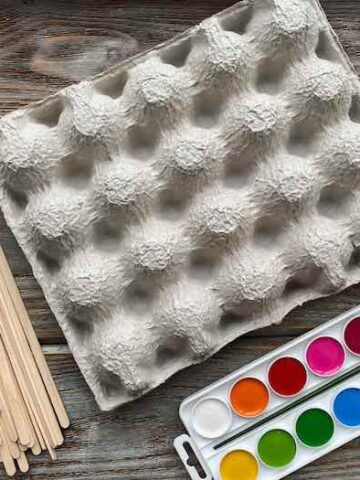 21 Egg Carton Crafts Perfect For Recycling Your Egg Cartons