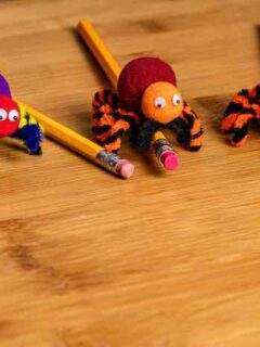 18 Pipe Cleaner Crafts That Everyone Will Enjoy