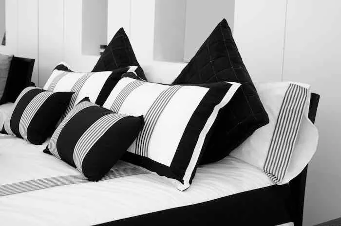 Black and White Pillows