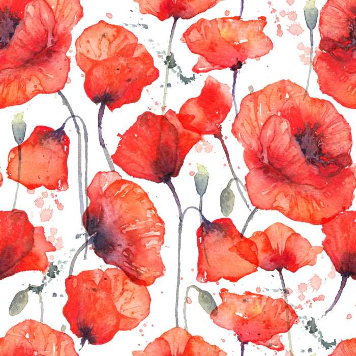 red poppy wallpaper