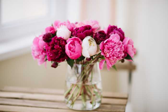 fresh cut flowers in a glass vase