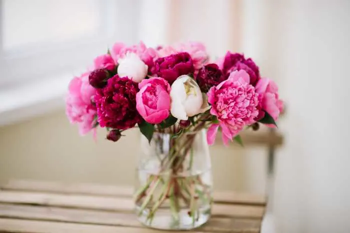 fresh cut flowers in a glass vase