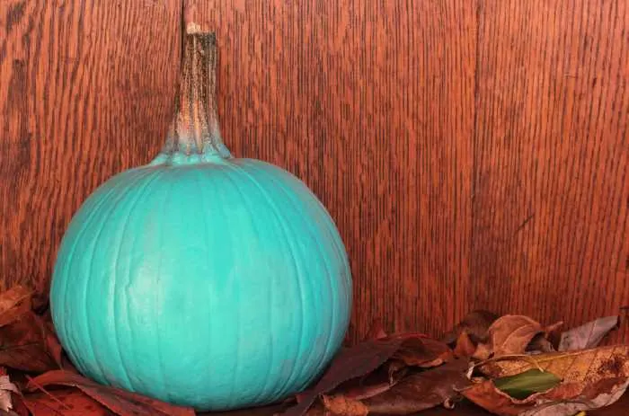 teal pumpkin