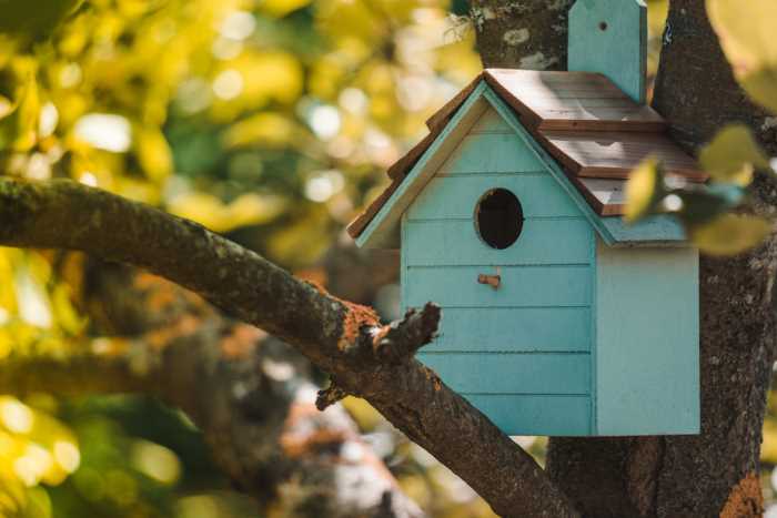 cream colored birdhouse in a tree