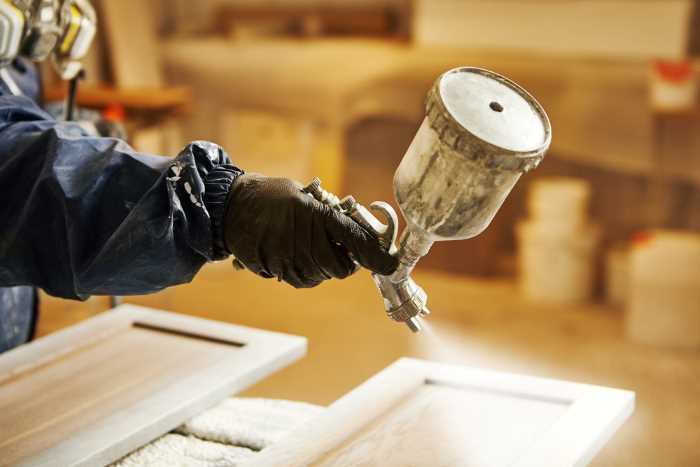 paint sprayer 