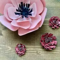Paper Flowers