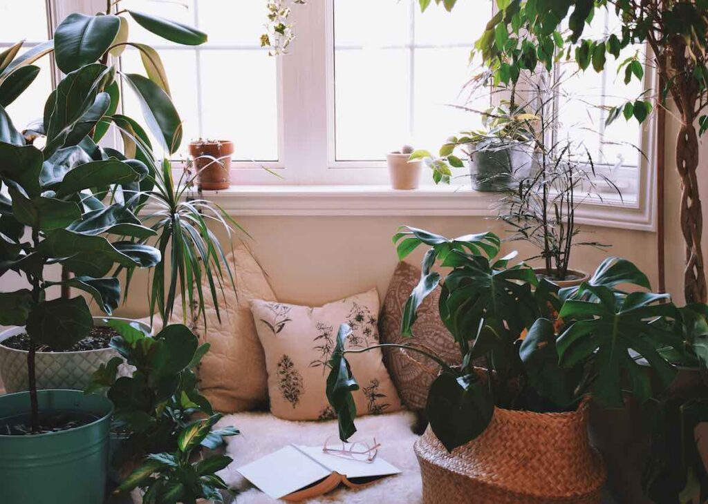 Bay window with plants