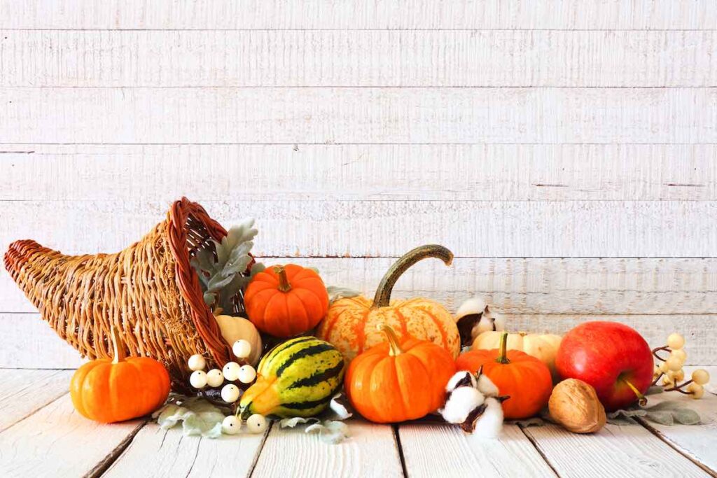 Cornucopia