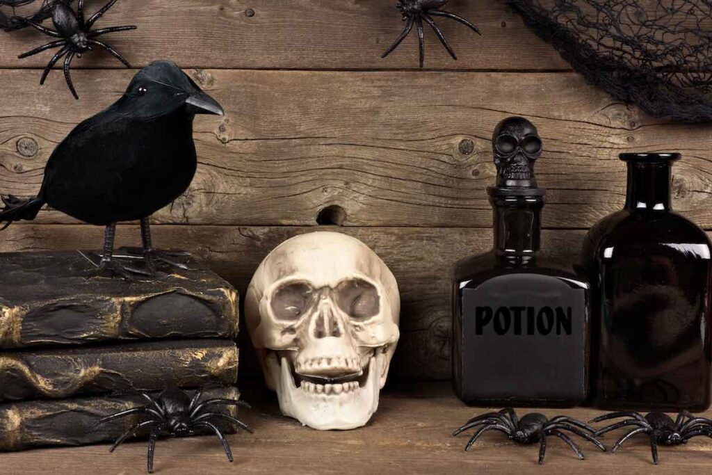 Crow decor
