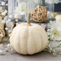 Wicker Halloween deor