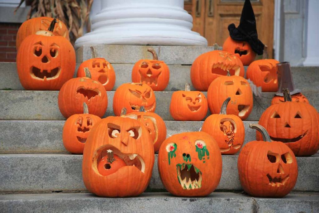 Pumpkin contest