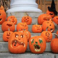 Pumpkin contest