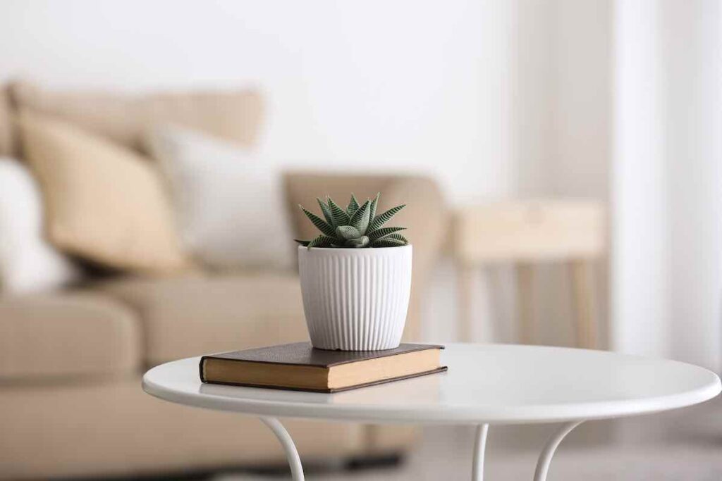 Modern Table Decor