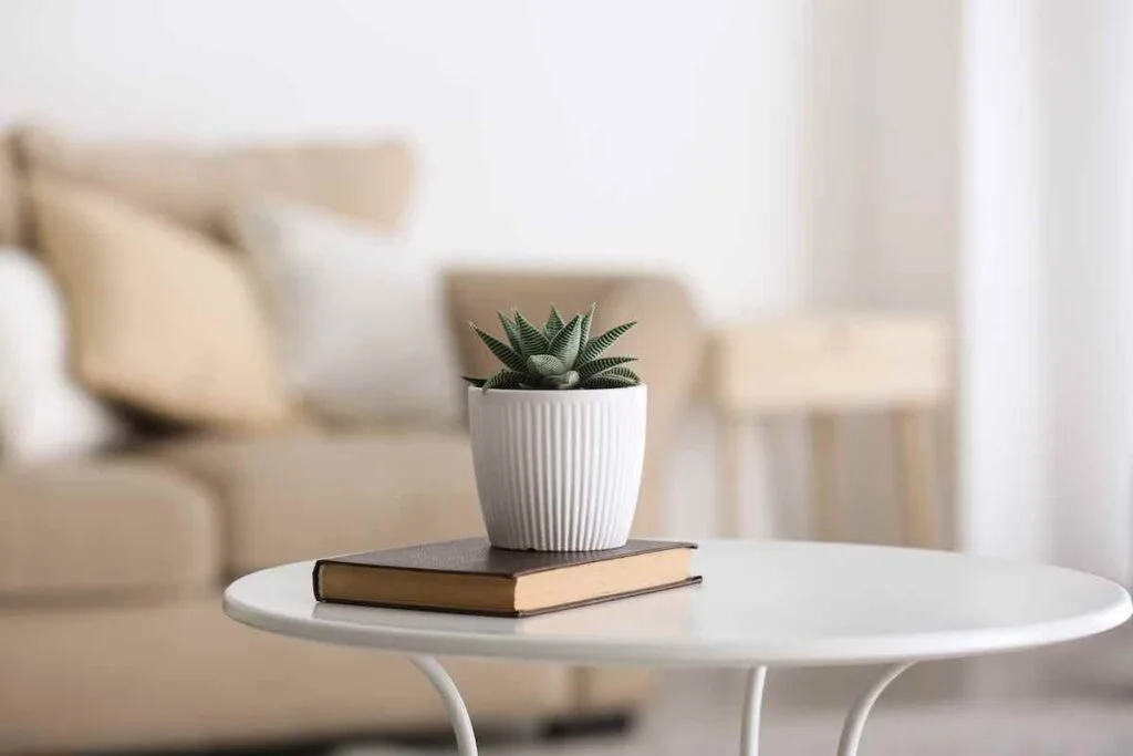 Modern Table Decor