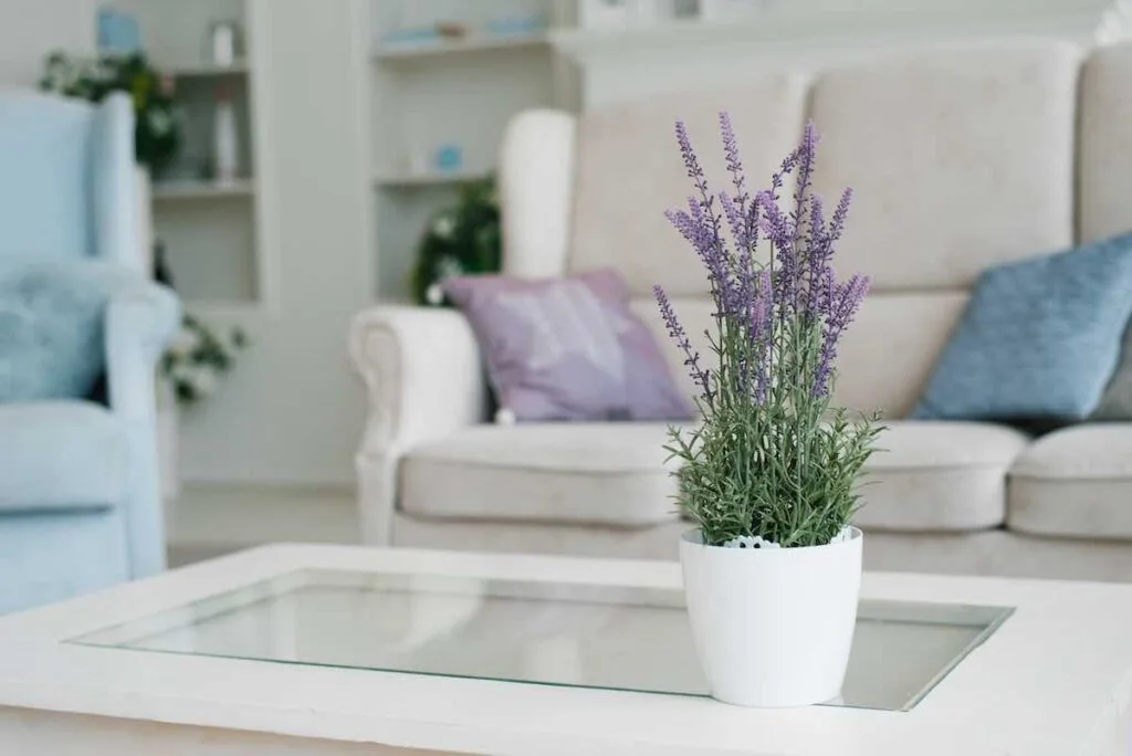 Negative space decor