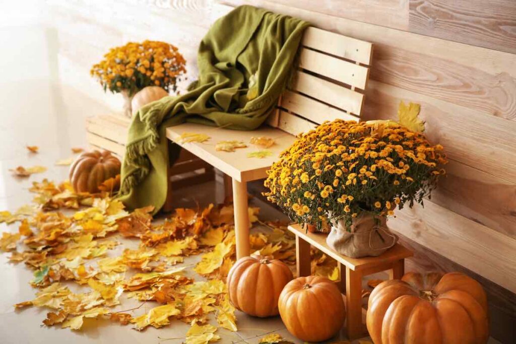 Autumn leaf decor