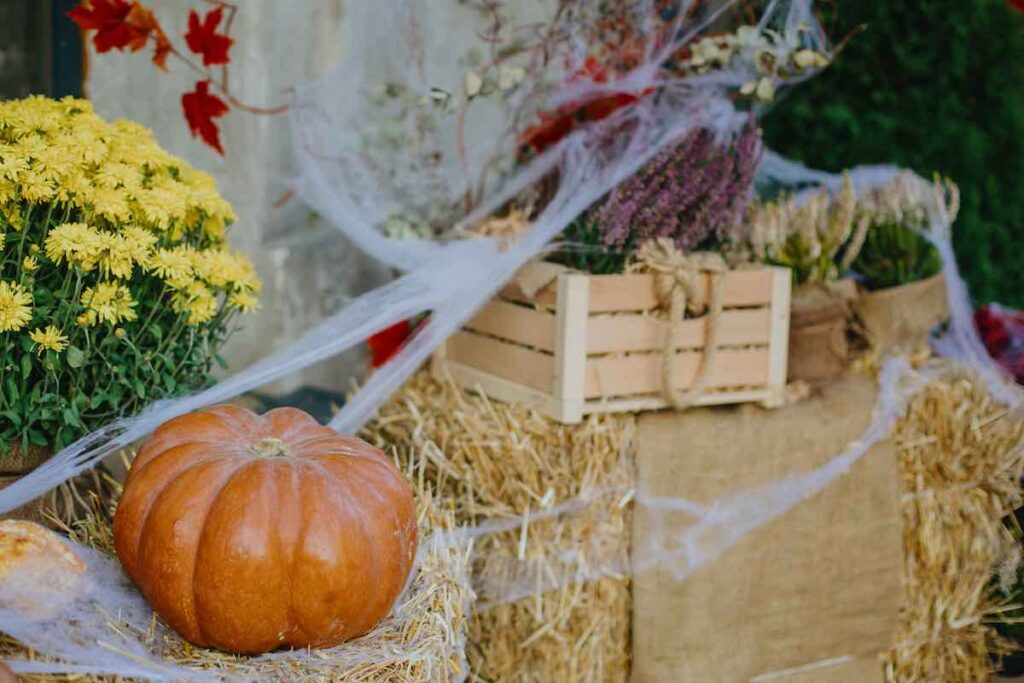 Hay bale decor