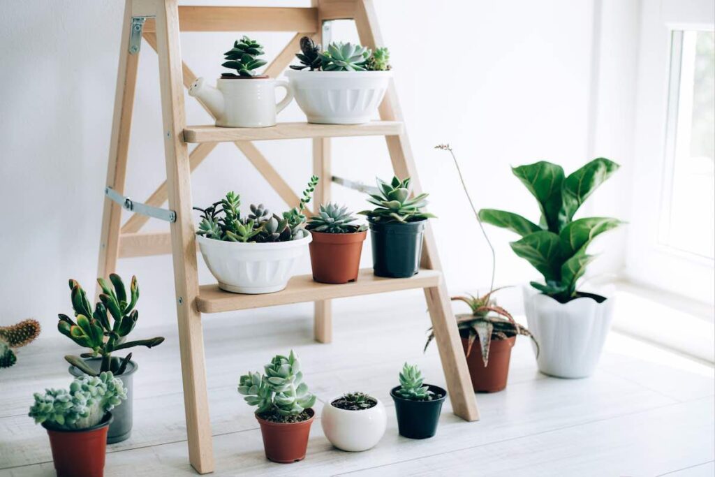 Plant shelf