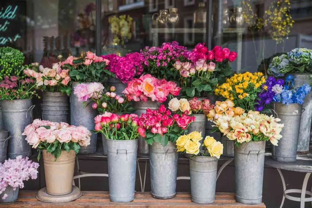 Fresh flowers