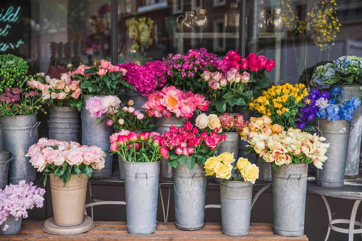 Fresh flowers