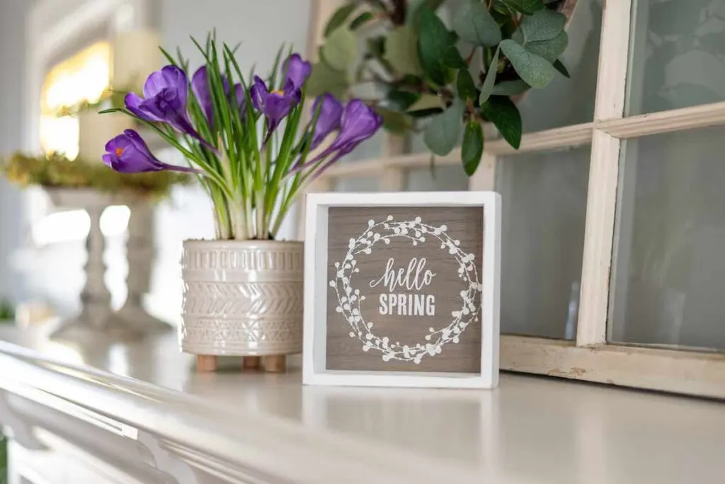 Spring quotes