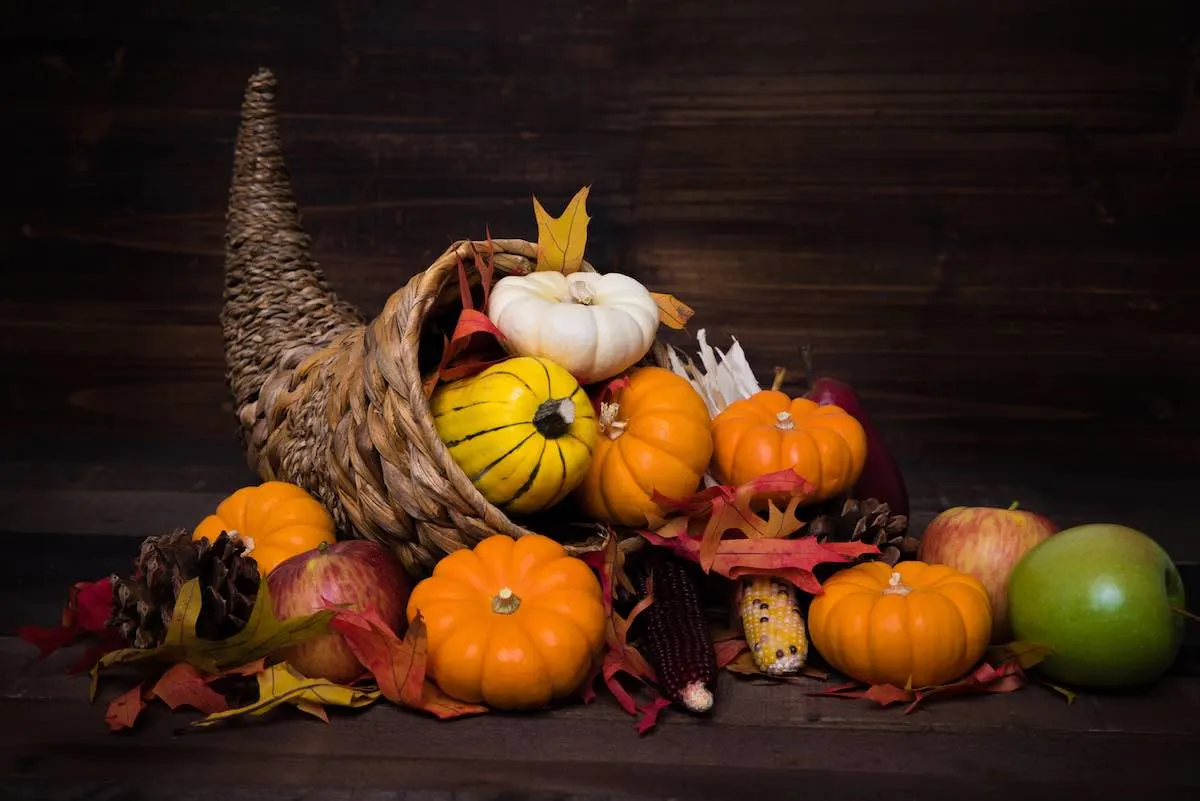 Cornucopia