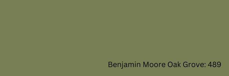 Benjamin Moore Oak Grove: 489