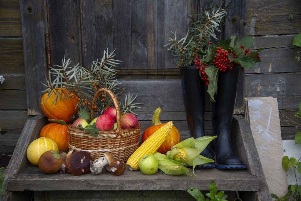 Basket on a porch