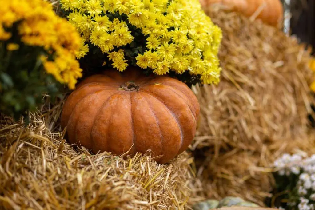 Hay bale decor