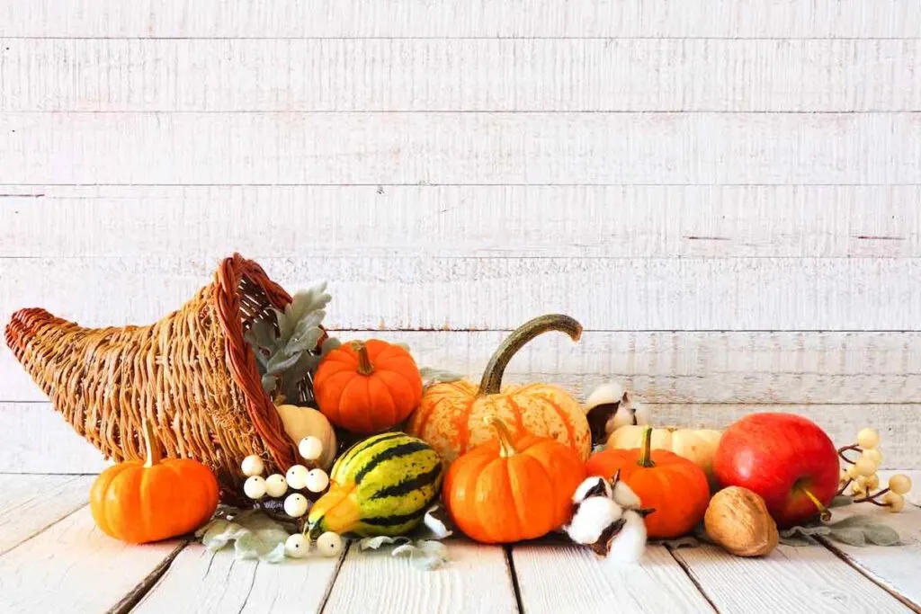 Modern cornucopia