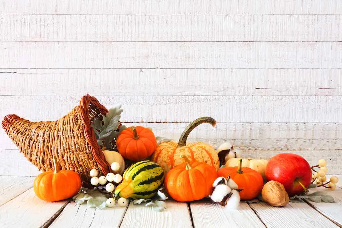 Modern cornucopia