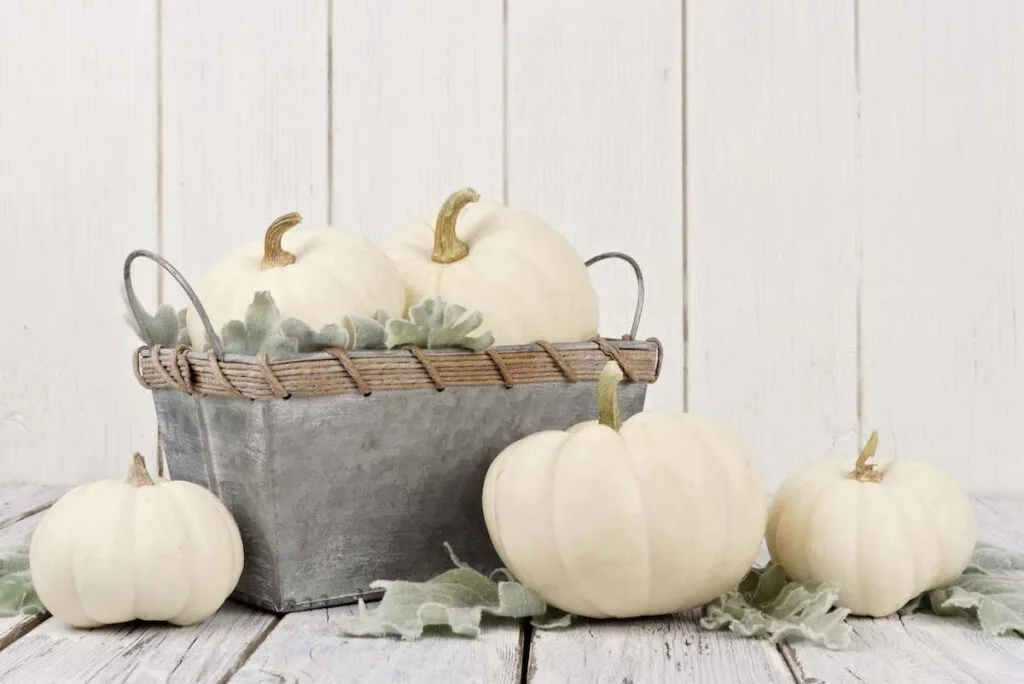 Neutral entryway decor