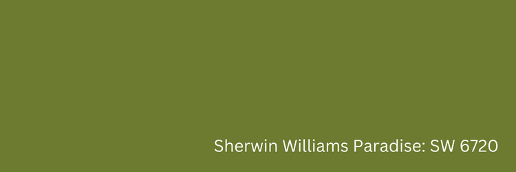 Sherwin Williams Paradise: SW 6720