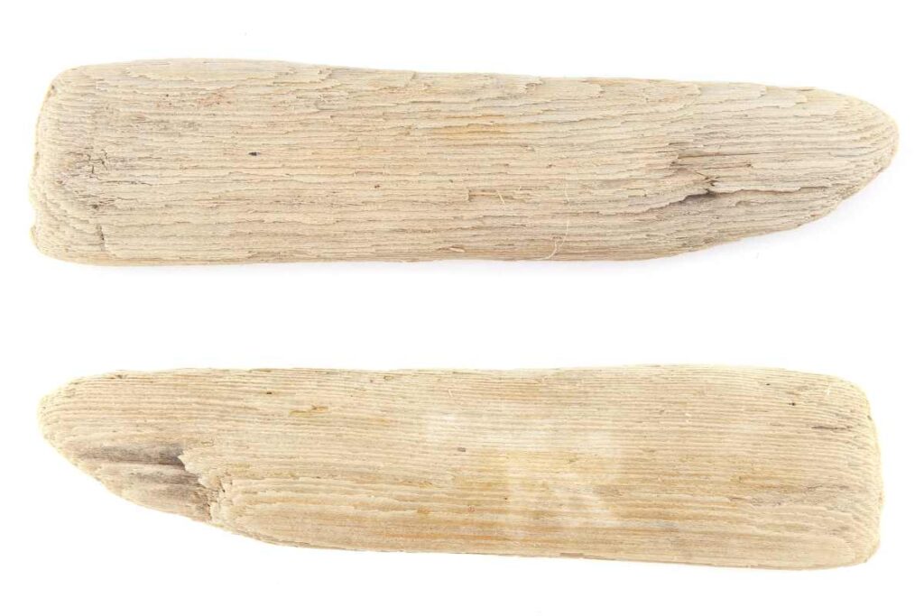 Drift Wood